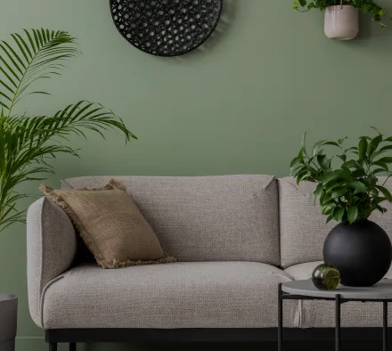 canapés à Sigean près de Port la Nouvelle dans l'Aude 11