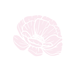 sommiers à Sigean près de Port la Nouvelle dans l'Aude 11